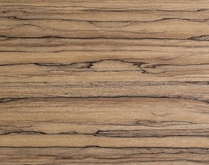 ModernWood Texture