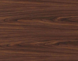 ModernWood Texture