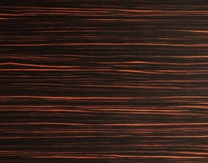 ModernWood Texture