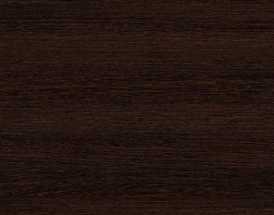 ModernWood Texture