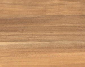 ModernWood Texture