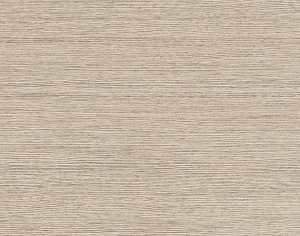 ModernWood Texture