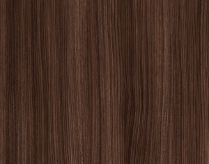 ModernWood Texture