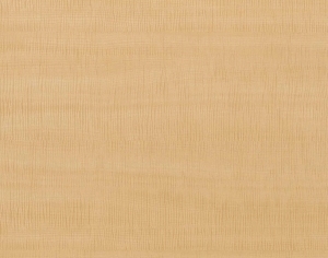 ModernWood Texture