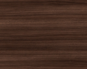 ModernWood Texture