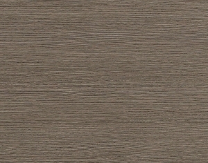 ModernWood Texture