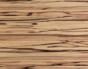 ModernWood Texture