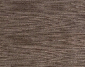 ModernWood Texture