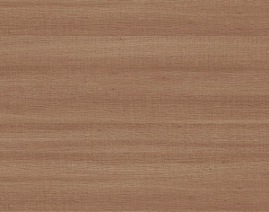 ModernWood Texture