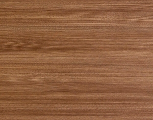 ModernWood Texture