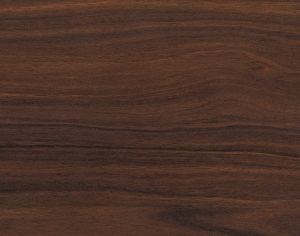 ModernWood Texture