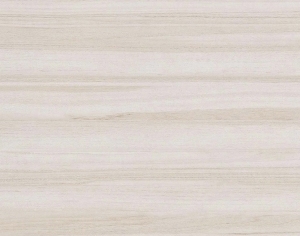 ModernWood Texture