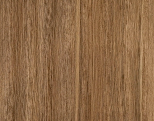 ModernWood Texture