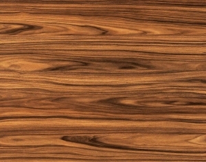 ModernWood Texture