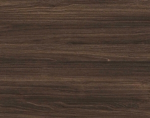 ModernWood Texture