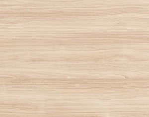 ModernWood Texture