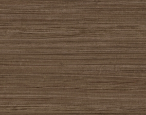 ModernWood Texture