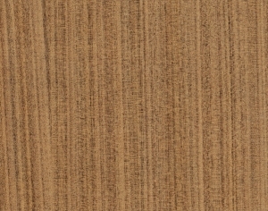 ModernWood Texture