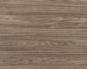 ModernWood Texture