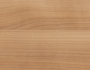 ModernWood Texture