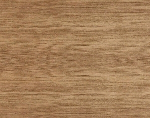 ModernWood Texture