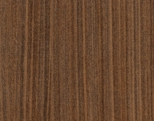 ModernWood Texture