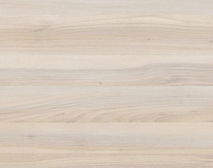 ModernWood Texture