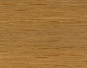 ModernWood Texture