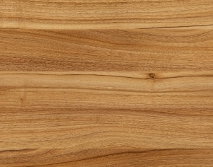 ModernWood Texture