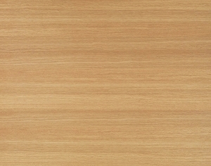 ModernWood Texture