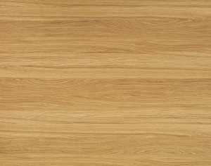 ModernWood Texture