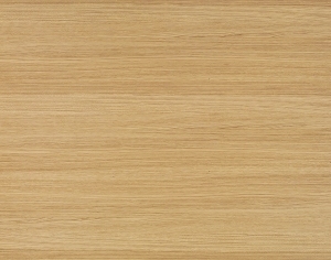 ModernWood Texture