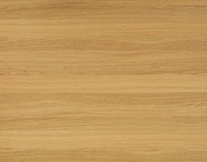 ModernWood Texture