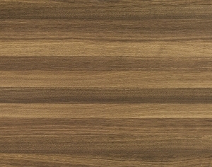 ModernWood Texture