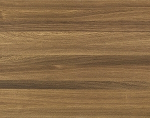 ModernWood Texture