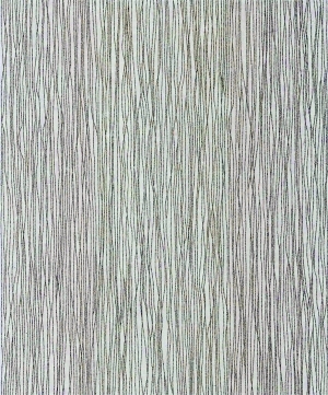 ModernWall Covering