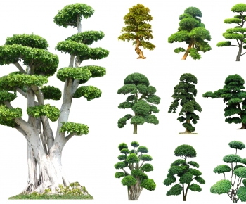 现代造型树 景观树-ID:191907885