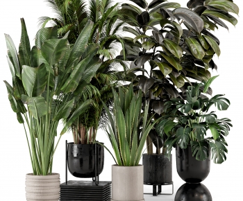 Modern Ground Green Plant Potted Plants-ID:958189961