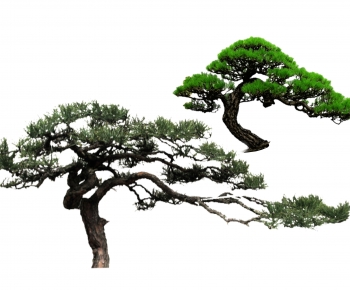 New Chinese Style Chinese Style Tree-ID:371099954