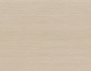 ModernWood Texture