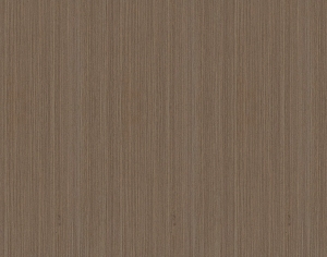 ModernWood Texture