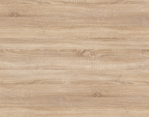 ModernWood Texture