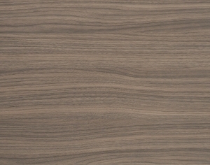 ModernWood Texture