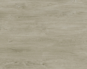 ModernWood Texture