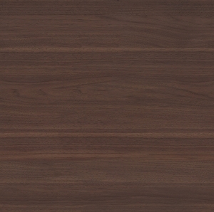 ModernWood Texture