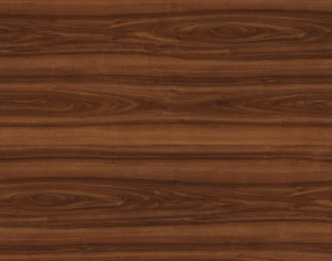 ModernWood Texture