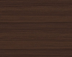 ModernWood Texture