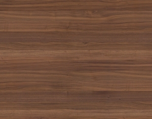 ModernWood Texture