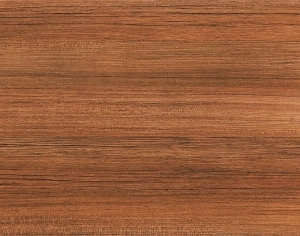 ModernWood Texture