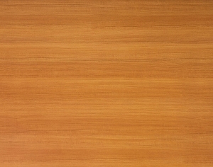 ModernWood Texture